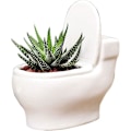 Miniatyrbild 1 av 5: Modern Keramisk Blomkruka för Sukkulenter, Kaktusar och Bonsaiträd