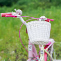 Miniatyrbillede 4 af 5: Cykelkurve til børn Håndvævet cykelkurv Plastik fragtkurv