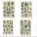 Pikkukuva 1 / 5: Vintage Trees print - 4 set 30 x 40 cm Vintage Tree -kuvia