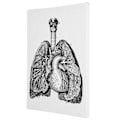 Pikkukuva 4 / 8: Anatomian kangas retro koristeellinen seinäelin taidemaalaus sairaalaan makuuhuoneeseen luokkahuoneeseen tyyppi A
