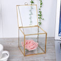 Miniatyrbillede 5 af 8: Guldkantet geometrisk glasplanteplanter til sukkulenter - Dekoration til hjemmet og haven