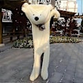 Miniatyrbillede 3 af 5: 80-180cm Teddybjørn Plys Legetøj Blød Ydre Hud Og Udstoppede Dyr Bjørnefrakke Zekai hvid 100cm