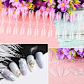 Miniatyrbillede 4 af 5: Professionel Transparent Oval Falske Negle Tips Display Stativ til Manicure Dekoration DIY