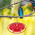 Pikkukuva 5 / 5: Kolibrin ruokintalaite, riippuva kolibrin juomakuppi ripustuskoukulla, irrotettava tiivis kolibrin lintujen ruokintalaite, sopii ulkopuistoihin ja pihoille