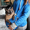 Miniatyrbillede 4 af 4: Vinter Unisex Hoodie med Store Lommer til Kæledyr XL GRÅ