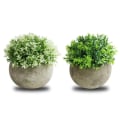 Pikkukuva 1 / 8: 2 KPL Simuloitu Kasvi Bonsai Puoliympyrän Muotoinen Pallo Massa Bonsai Työpöydän Vihreät Kasvit Ruukku Koristeet Valkoinen Vihreä
