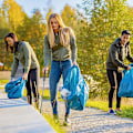 Miniatyrbillede 5 af 5: Hjemmeudendørs plukker, sammenklappelig letvægtsaffaldsopsamling, udvidet