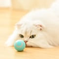 Miniatyrbild 2 av 5: Interaktiv katt leksak, 360° själv roterande, med LED ljus, Smart Boll Automatisk Leksaker Rullande USB laddning, grön