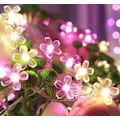 Miniatyrbillede 1 af 5: LED solbærkirsebær-guirlandelampe, varm rosa gårdhavedekoration