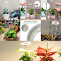 Miniatyrbild 2 av 5: Växtlampa, Fullspektrum LED-lampa för inomhusväxter, 5V