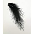 Miniatyrbillede 2 af 5: 100 stk sorte fluffy kalkunmarabou fjer 4-6 tommer til håndværk drømmfangere frynser trim farvede fjer fluebindningsmateriale