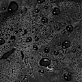 Miniatyrbillede 3 af 5: IBC-lås til 1000L vandtank - Tankbeholderlåg - Støv- og UV-resistent regn (sort)