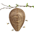 Miniatyrbilde 3 av 5: 4 stk. Vepsfeller Giftfritt Lokkemiddel av Papir, Avskrekkende for Bier - Vepsebol Beige-X42- Beige Beige