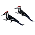 Pikkukuva 7 / 7: Hackspett-ulkotila-koristeellinen rauta-lintu riippuva aita terassi