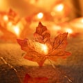 Miniatyrbillede 3 af 5: 2-pak Thanksgiving Lønneblad Lysstreng, Ialt 20FT 40 LED Efterårsblad Girland, Thanksgiving Dekorationer til Høstfest -WQ