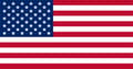 Flagga - USA 100 100 USA