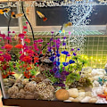 Miniatyrbilde 4 av 4: Plast akvarieplanter, hver 20 cm høy og 2 poser, for akvarium