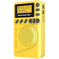 Miniatyrbilde 1 av 2: Digital FM-radio Bærbar radio med USB-strøm og batteri