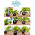 Miniatyrbild 3 av 3: 16 Delars Bonsai Verktygsset Mini Suckulent Växt Omplantering