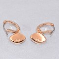 Pikkukuva 2 / 5: Swarovski Collection Swa Symbol-FS5-