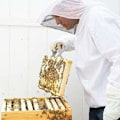 Pikkukuva 4 / 4: Mehiläispuku hatulla, ammattimainen mehiläissuoja