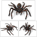Miniatyrbillede 4 af 5: 2 Pak Realistiske Edderkopper, Legetøjs Edderkop Dyrfigurer, (Smal Sort Edderkop)