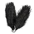 Miniatyrbild 5 av 5: 10 st strutsfjädrar Plume Centerpiece Bröllopsfest Bordsdekoration 30-35cm Svart Black