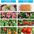 Miniatyrbilde 4 av 5: INF Plantelampe / plantebelysning med 4 fleksible LED lysrør 1-pakning