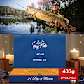 Miniatyrbild 2 av 4: 2024 Fiskebete Adventkalender, Fiskeutrustning Adventkalender - Adventkalender Fiskebete | Fiske Julnedräkning Fiskebete Set
