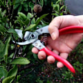 Miniatyrbillede 2 af 4: vs-8z, beskæresaks, ARS-VS-8XZ -JJ-