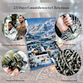 Miniatyrbild 5 av 5: 2024 Adventskalender med verktygsset för män - Verktygskalender för vuxna och tonåringar - 24 dagars julnedräkning