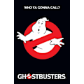 Miniatyrbillede 1 af 2: Ghostbusters - Who Ya Gonna Call? Multicolor