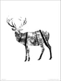 Exklusivt Art Print - Deer Woods Multicolor