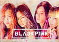 A3 Print - K Pop - Black Pink 1 multifärg