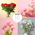 Miniatyrbilde 5 av 5: Blomsterrør Pakke med 50 plastblomsterør, gjennomsiktig vannrør for blomster, gjenbrukbare blomster, vannrør Transparent