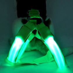 LED Blinkande Hund Walking Bälte Sele koppel Nylon