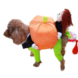 Sällskapsdräkt Hund Katt Pumpa Husdjur Kostym Halloween Dräkter Husdjur Kläder för små hundar och katter, perfekt för Halloween Ch