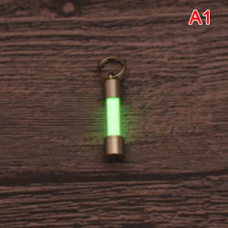 Titanium Stainless Steel Embrite™ Glow in the dark nøglering FOB A1
