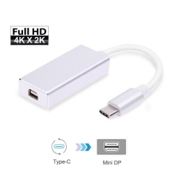 USB-C to Mini Display Port Adapter USB 3.1 Thunderbolt 3 till 2