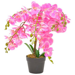Konstväxt Orkidé med kruka 60 cm rosa Flerfärgsdesign