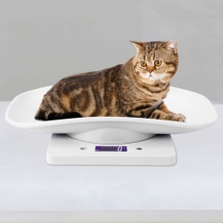 10 kg/1g digital våg för små husdjur för exakt mätning