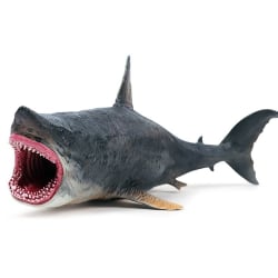 Megalodon Modeller Ancient Shark Figurines Marine Organism