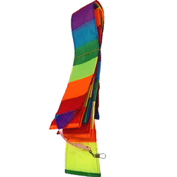 10m Kite Tail Rainbow Line Rainbow Delta Kite