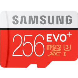 256 GB Samsung Evo+ microSDXC Class 10 UHS-I