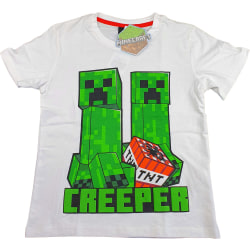 Minecraft T-Shirt 152