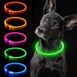 LED-hundhalsband Lysande hundhalsband