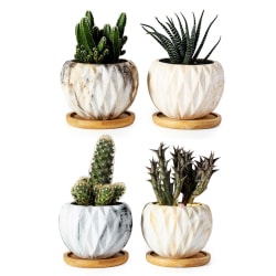 Set med 4 keramiska suckulenta kaktuskrukor för inomhusväxter