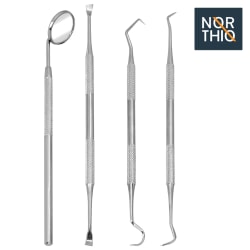 Northio - Tandläkarverktyg i 4 delar Silver