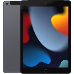 iPad 10,2 9:e gen (2021) Space Gray 256 GB Wifi + Cellular Klass B (refurbished)