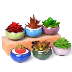 Ice-Crack Glaze Flower Keramik Suckulent Planter Mini Pot Red